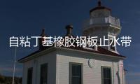 自粘丁基橡膠鋼板止水帶性能表/規(guī)格表