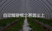 自動駕駛概念甚囂塵上 消費者需要什么？