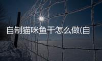 自制貓咪魚干怎么做(自制貓咪喂食器)
