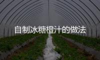 自制冰糖橙汁的做法