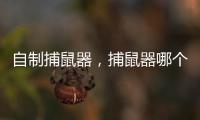 自制捕鼠器，捕鼠器哪個好,怎么樣挑選捕鼠器