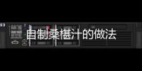 自制桑椹汁的做法
