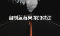 自制藍莓果凍的做法