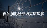 自體脂肪臉部填充原理解析，還你一張飽滿青春臉~