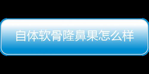 自體軟骨隆鼻果怎么樣
