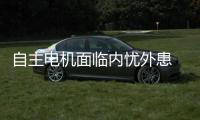 自主電機面臨內憂外患 危機當前求破局