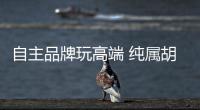 自主品牌玩高端 純屬胡鬧還是自尋出路