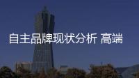 自主品牌現狀分析 高端化應如何走下去？