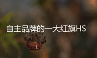 自主品牌的一大紅旗HS7駕駛體驗