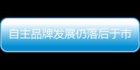 自主品牌發(fā)展仍落后于市場 路該怎么走