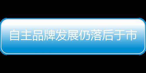 自主品牌發(fā)展仍落后于市場 路該怎么走