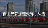 自主品牌加速變陣，從活著向活得更好跨越