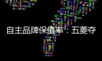自主品牌保值率：五菱奪冠 寶駿排名第三