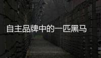 自主品牌中的一匹黑馬 試駕吉利博越