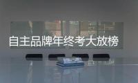自主品牌年終考大放榜 春風得意的一年