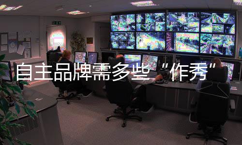 自主品牌需多些“作秀”合力沖擊更大市場