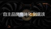 自主品牌高端化 到底該具有怎樣的特質(zhì)