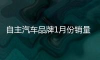 自主汽車品牌1月份銷量慘不忍睹？