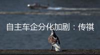 自主車企分化加劇：傳祺大漲97% 江淮增6%