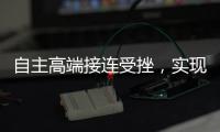 自主高端接連受挫，實(shí)現(xiàn)逆襲到底難在哪