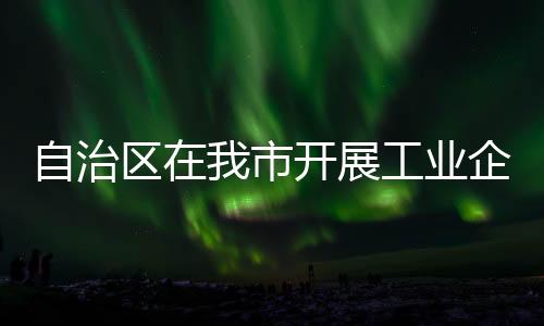 自治區在我市開展工業企業數字化營銷能力提升業務培訓