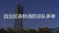 自治區森林消防總隊多舉措提升隊伍管理水平