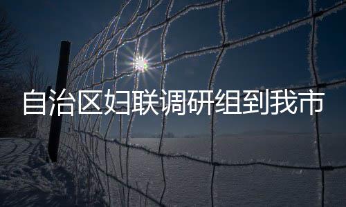 自治區婦聯調研組到我市調研