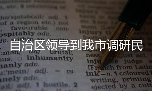 自治區(qū)領(lǐng)導(dǎo)到我市調(diào)研民營(yíng)經(jīng)濟(jì)發(fā)展情況