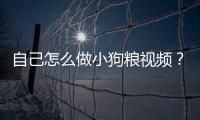 自己怎么做小狗糧視頻？怎么做小狗糧盒子