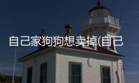 自己家狗狗想賣掉(自己的狗狗想賣了在哪里賣)