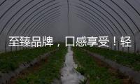 至臻品牌，口感享受！輕食代芝士奶昔為經(jīng)銷商賺錢而來！