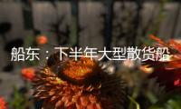 船東：下半年大型散貨船市場將迎來強勁增長