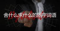 舍什么求什么的四字詞語（舍什么求什么）