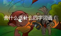 舍什么逐什么四字詞語（舍什么逐什么）