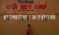 舒爾特方格（關于舒爾特方格的基本情況說明介紹）