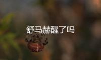 舒馬赫醒了嗎