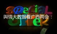 輿情大數(shù)據(jù)看廣西兩會：哪些熱詞備受關注