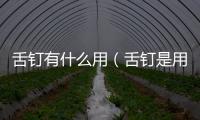 舌釘有什么用（舌釘是用來干嘛的）
