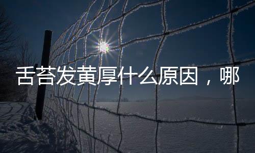 舌苔發(fā)黃厚什么原因，哪些因素會(huì)造成舌苔發(fā)黃厚