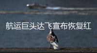 航運巨頭達飛宣布恢復紅海航行