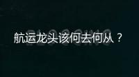 航運龍頭該何去何從？