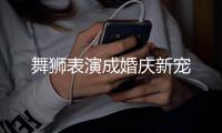 舞獅表演成婚慶新寵