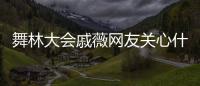 舞林大會(huì)戚薇網(wǎng)友關(guān)心什么?