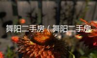 舞陽二手房（舞陽二手房網）