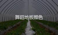舞蹈地板顏色