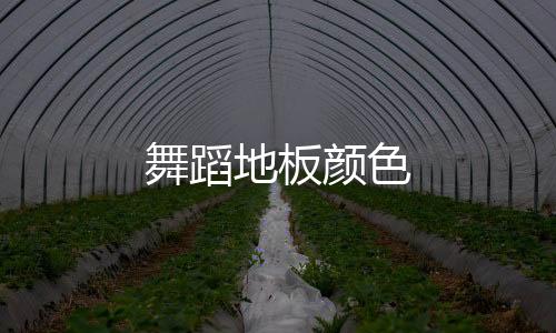 舞蹈地板顏色