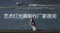 藝術(shù)燈光展制作廠家夜間活動(dòng)2020春節(jié)策劃