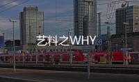 藝料之WHY