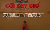 艾絨加工廠:廣西艾絨廠家
