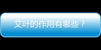 艾葉的作用有哪些？